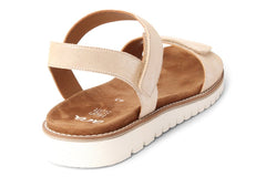 ARA DYNAMIC - Crispins Shoes