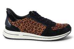 ARA CRICKET LEOPARD - Crispins Shoes