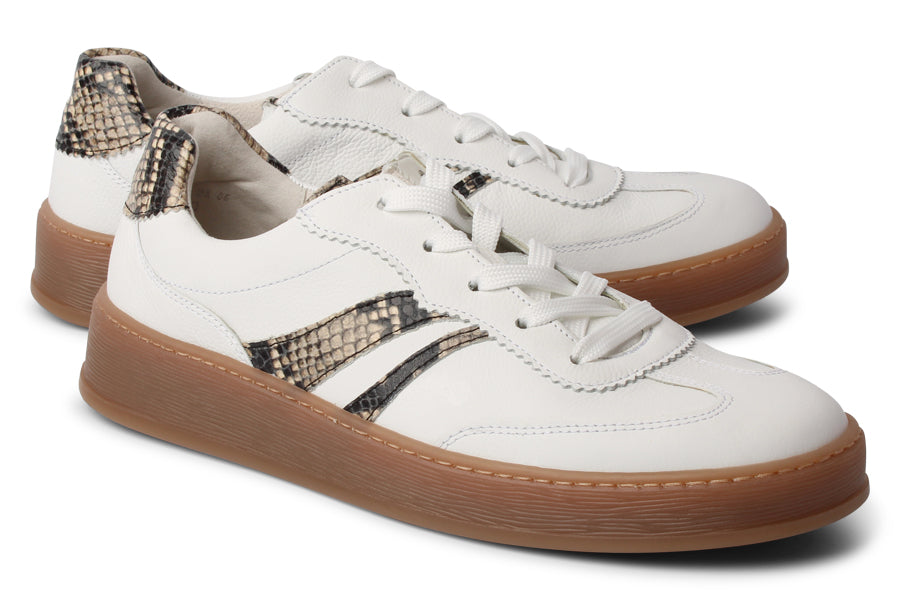 GAB DAZE WHITE - Crispins Shoes