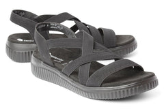 REM STRETCHY BLACK - Crispins Shoes