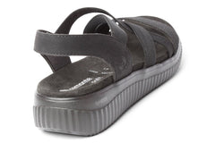 REM STRETCHY BLACK - Crispins Shoes