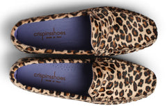 VM TAFFY - Crispins Shoes