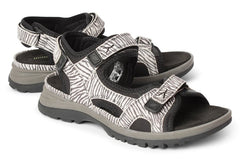 WAL EVELIN ZEBRA - Crispins Shoes