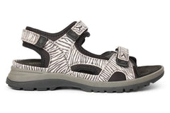 WAL EVELIN ZEBRA - Crispins Shoes