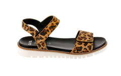 Ara Draco Leopard - Crispins Shoes