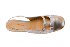 Br Rosette Multi - Crispins Shoes