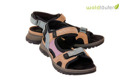 Wal Evelin Multi - Crispins Shoes