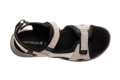 Wal Evelin Grey - Crispins Shoes