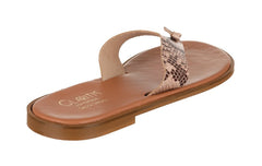 Gl Clio Snake - Crispins Shoes
