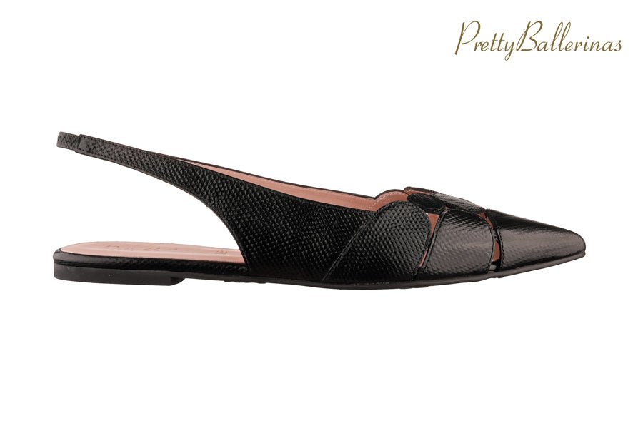 Pb Circles Black - Crispins Shoes