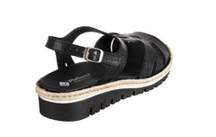 Pie Wedge - Crispins Shoes
