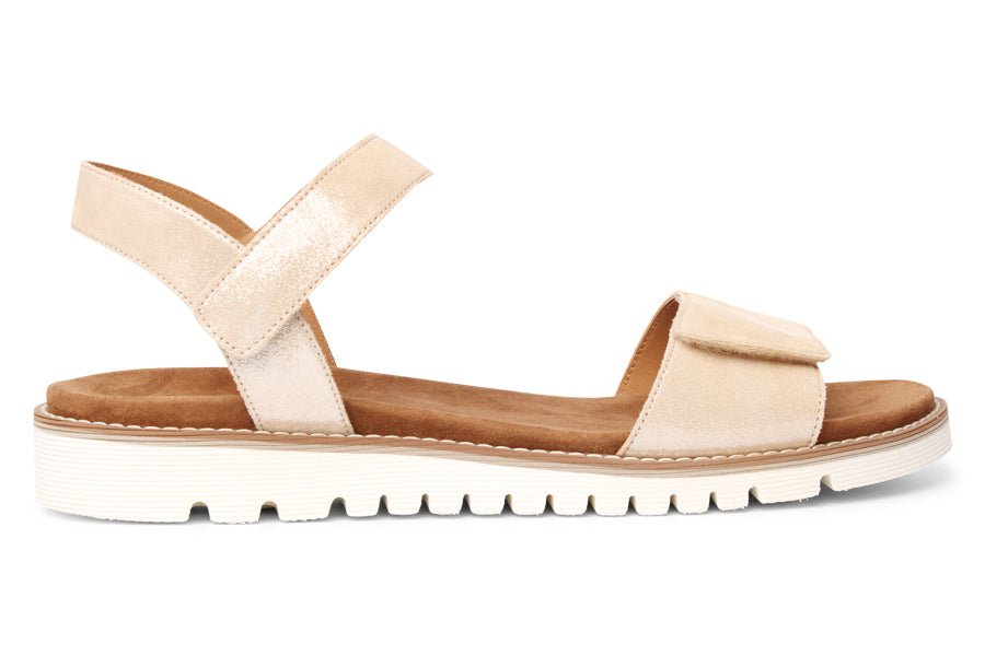 ARA DYNAMIC - Crispins Shoes