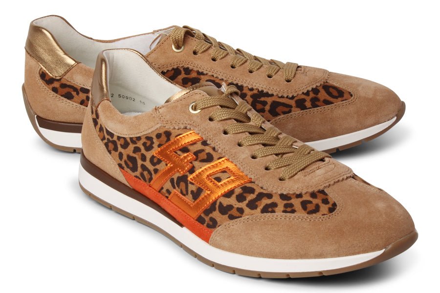 ARA EAGER MULTI - Crispins Shoes