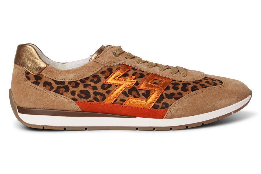 ARA EAGER MULTI - Crispins Shoes