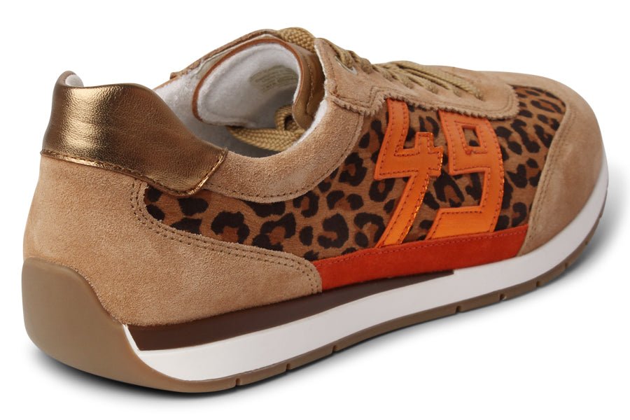 ARA EAGER MULTI - Crispins Shoes