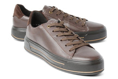 ARA GATOR BROWN - Crispins Shoes
