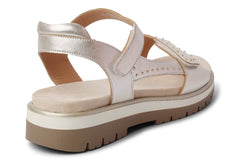 ARA GENTLE - Crispins Shoes