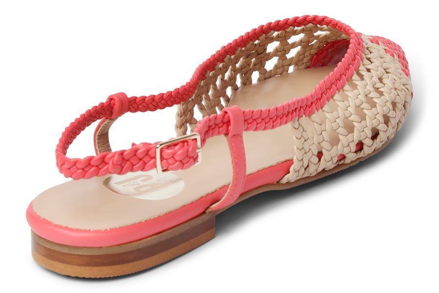 DAN NETWORK - Crispins Shoes
