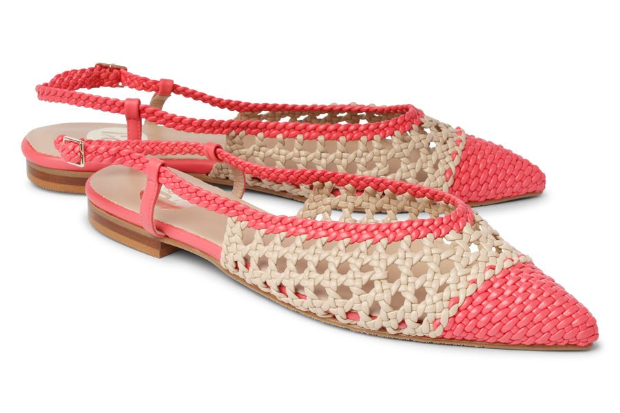 DAN NETWORK - Crispins Shoes