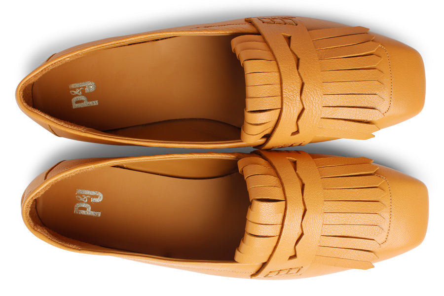 DAN SAFFRON  CAMEL