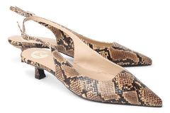 DAN SHOWSTOPPER SNAKE - Crispins Shoes