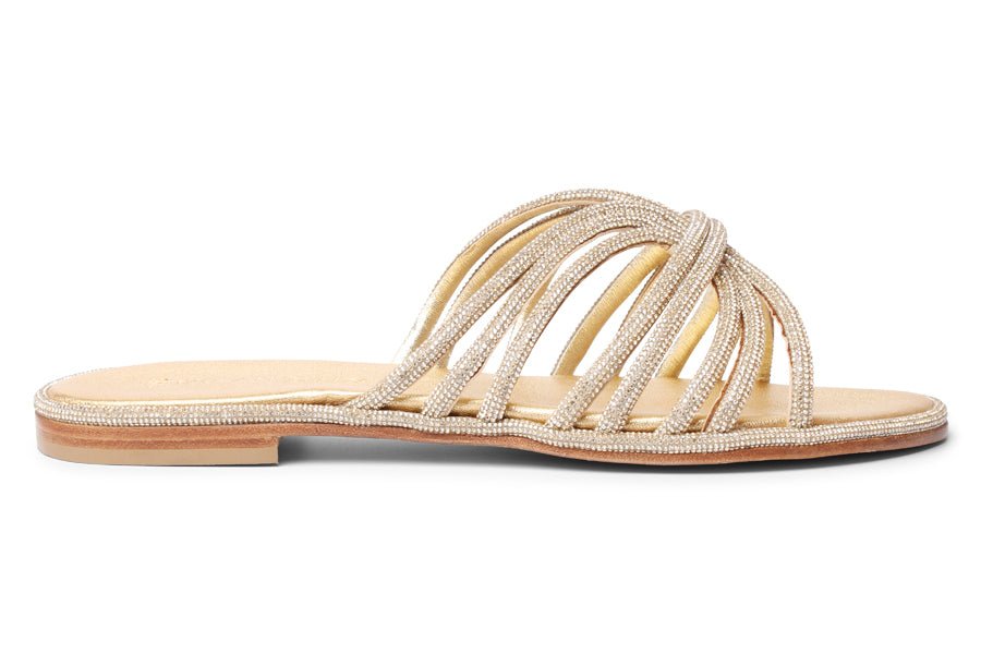 PF CONNECTION - Crispins Shoes