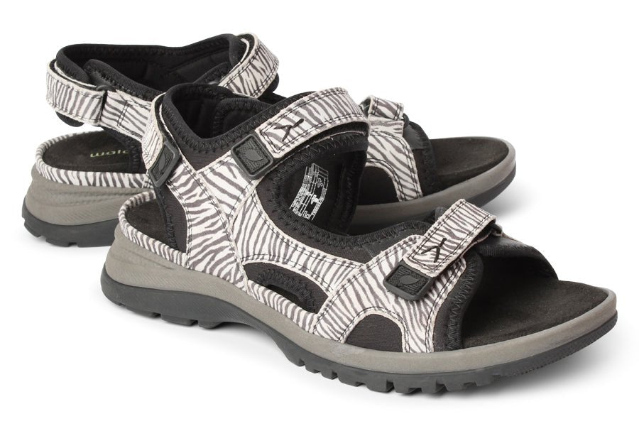 WAL EVELIN ZEBRA - Crispins Shoes