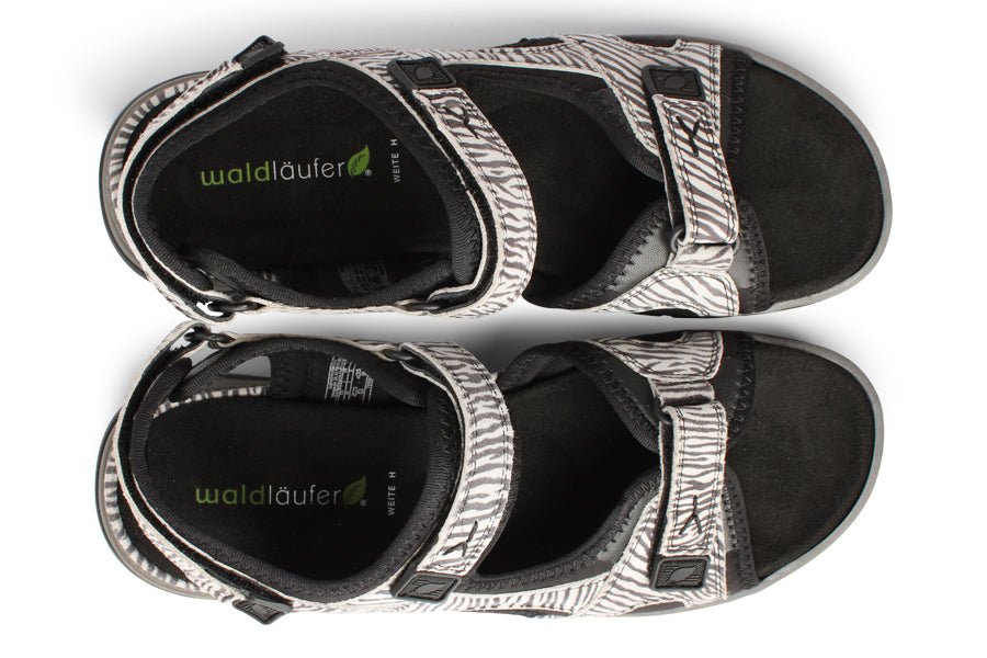 WAL EVELIN ZEBRA - Crispins Shoes