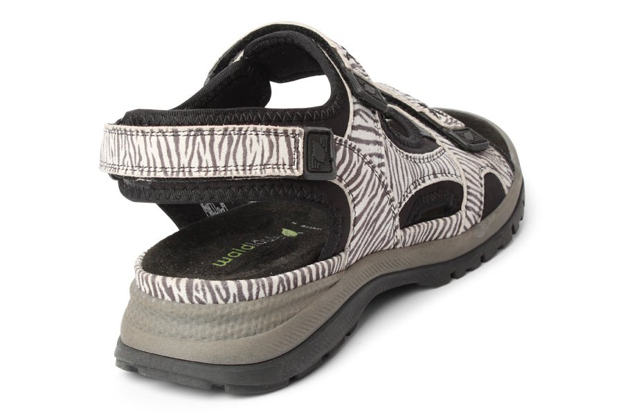WAL EVELIN ZEBRA - Crispins Shoes