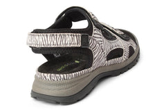WAL EVELIN ZEBRA - Crispins Shoes