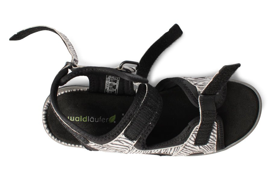 WAL EVELIN ZEBRA - Crispins Shoes