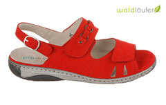 WAL ROCKYS RED